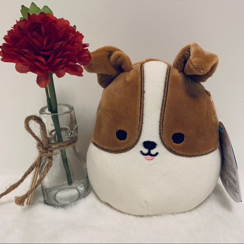 Squishmallow Brenden Corgi Dog 🐶, Spring 🌸, 5” New